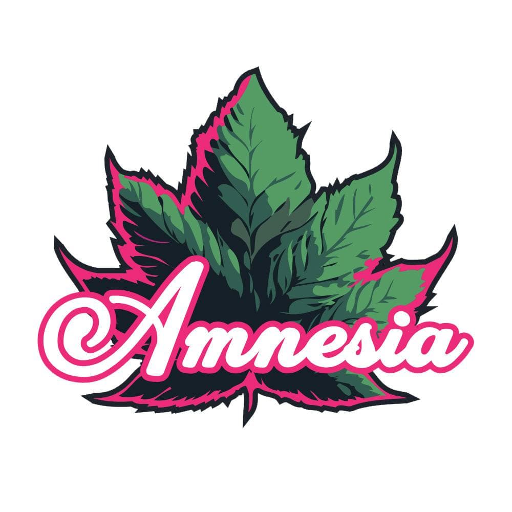 Amnesia Amnesia